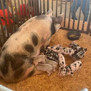 Meet your Posher, Kari